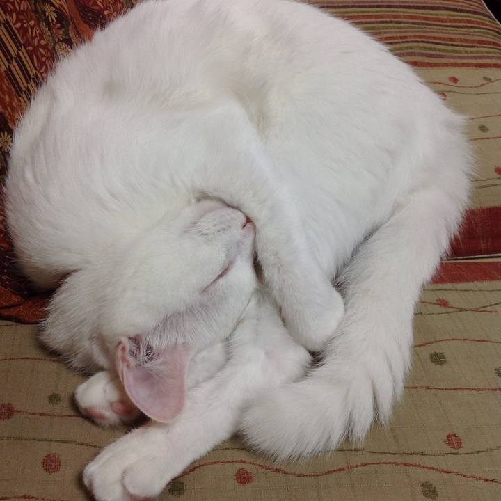 368c8c46 57ed 4342 b125 35792df1b010 1634096400690