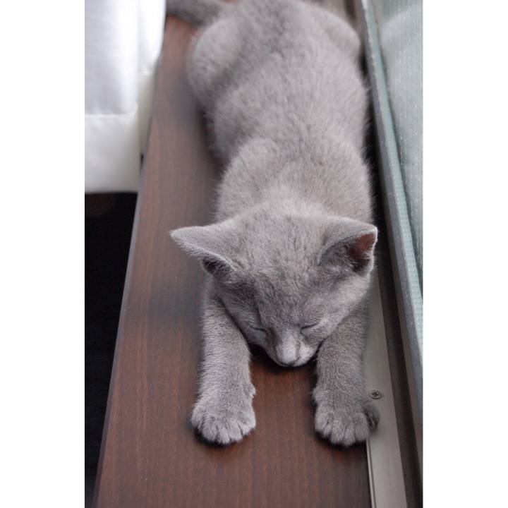 368c9bfb c346 4b09 ac1b 3ba21f225bc6 1530964956285