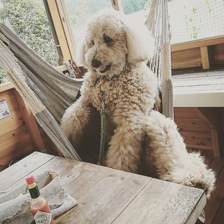 368cdb4f cba0 47e4 8ad1 cf7503ebb186 1537146401413