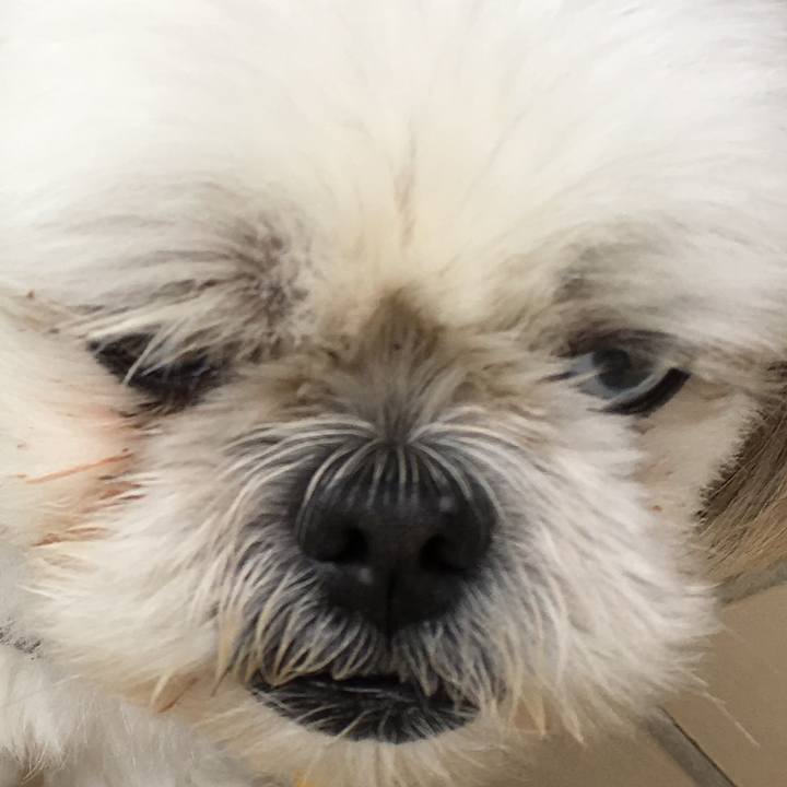 368d3516 989e 4f27 9cb1 bc57e67f154c 1562744507565