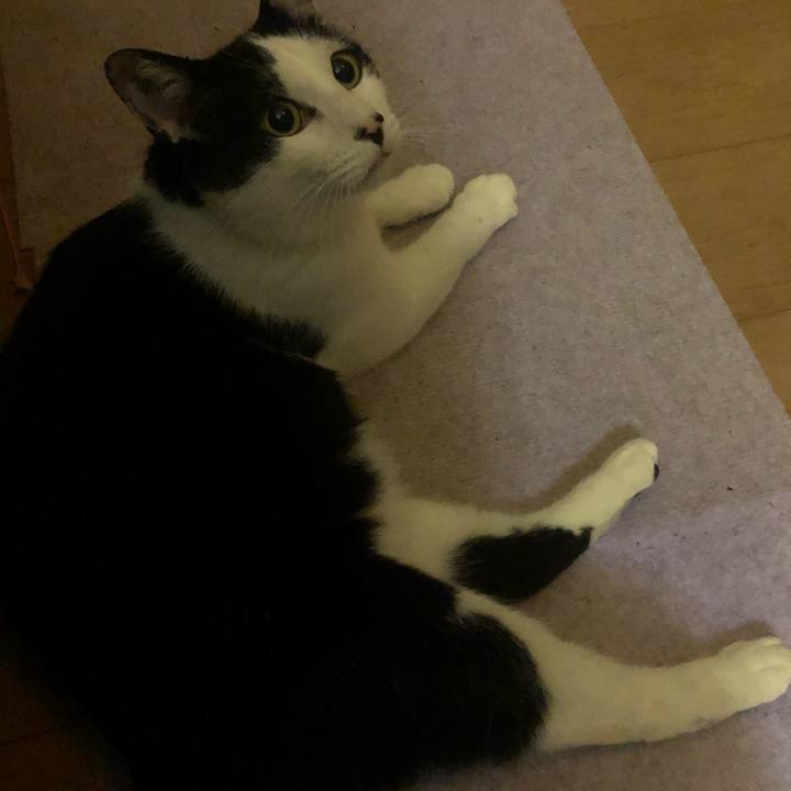 368d6501 cb40 4a8e a4ae 56c40f9cb1d0 1553531658593