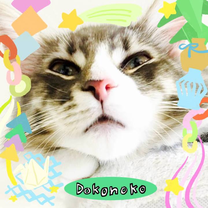 368d7c39 ff1d 4d85 946e 767676c21202 1755358548615