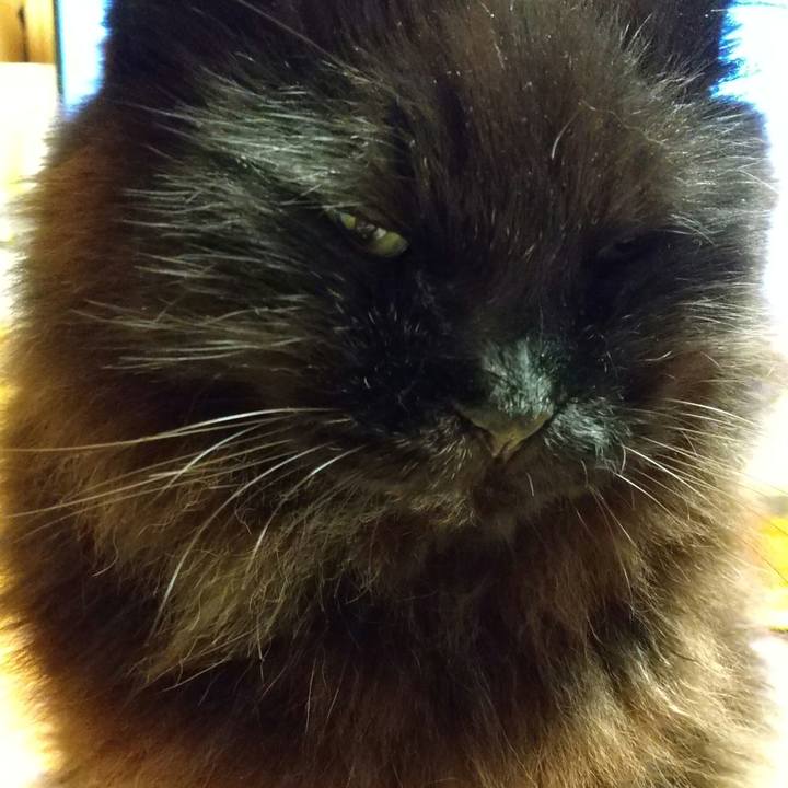 368da95c f82d 4cfd a7da 485d520680b6 1653743006796