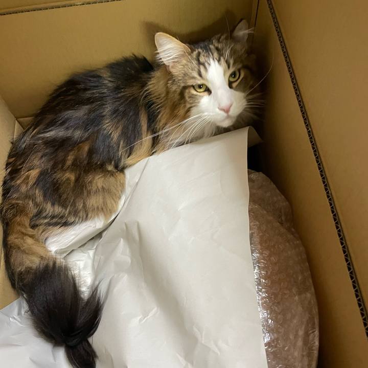 368dc6ac df97 4e25 b9e9 6f6f81917409 1674039349891