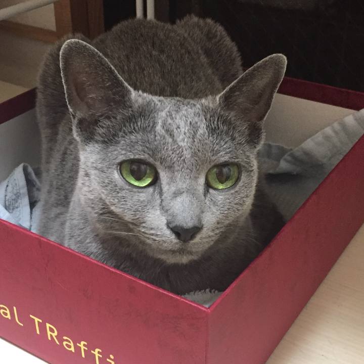 368dc98a 3923 45b8 8cb3 24575b8559d0 1530746849431