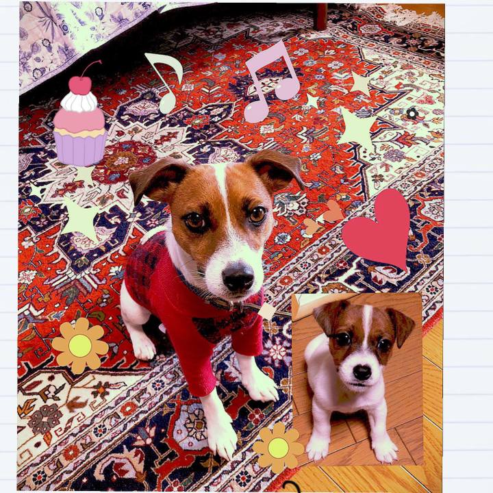 368dd958 08e3 4357 809a 85dee90a65c9 1540779965642