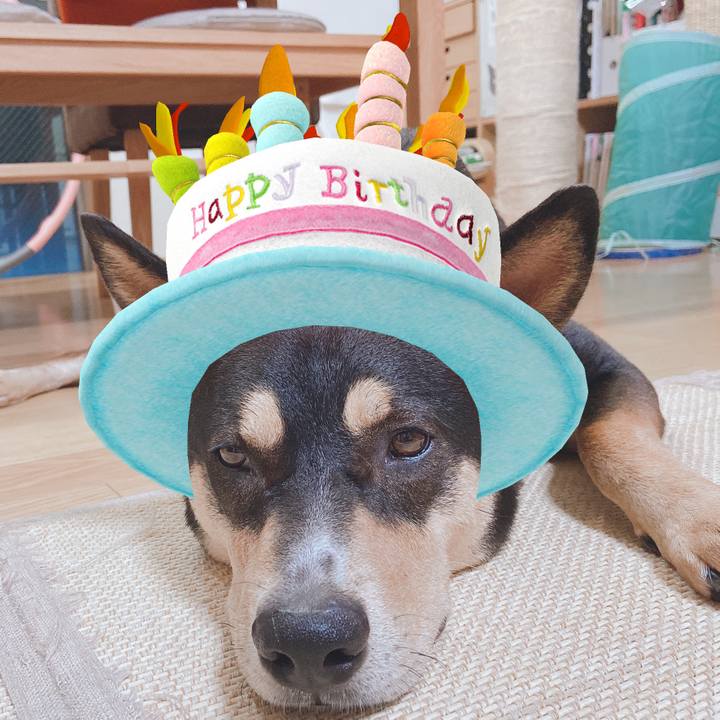 368deba4 b54c 4a72 b77b c983875885b7 1594556315465