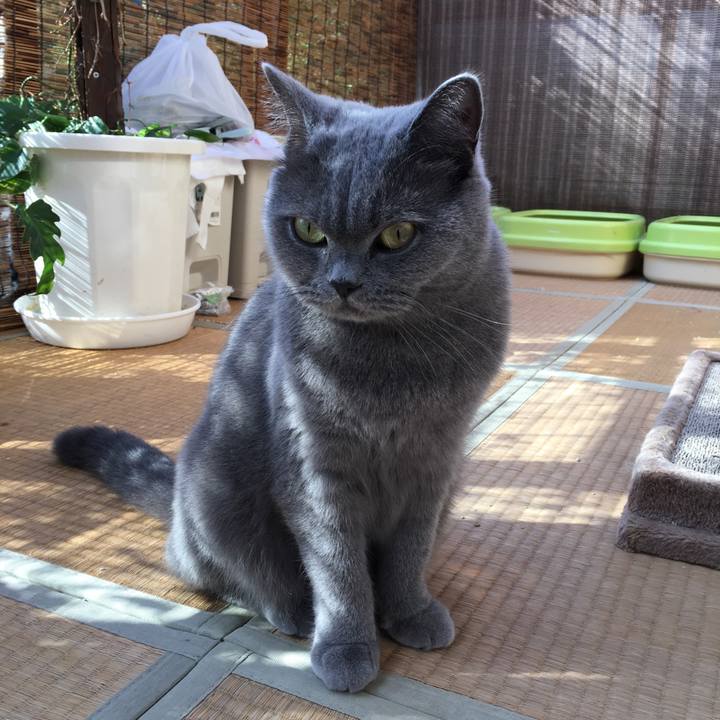 368dfd45 6d84 4ece 80eb eb6383cab282 1510127266729