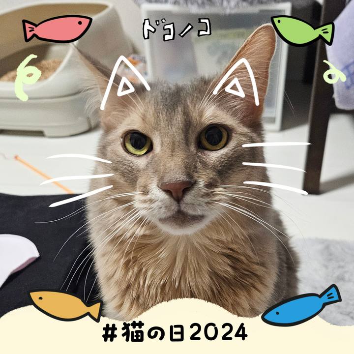 368e3ae8 3124 4bfc a153 d09809fa3cc1 1708556132565