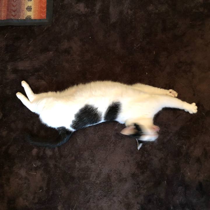 368e3ed5 7e80 47bb 8a84 93b67276589d 1567499761391