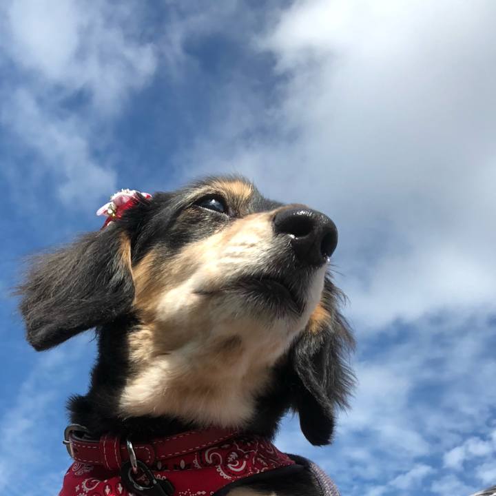 368e5247 4dc5 482e a67b 832ac328c3ef 1631665213691