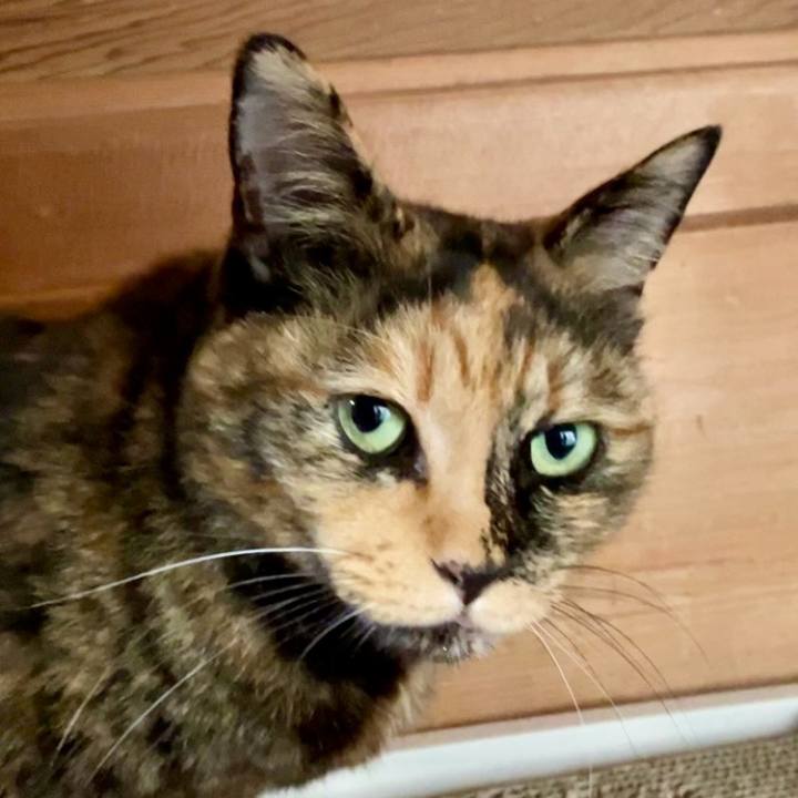 368e6065 209a 4a80 bb4a 0e36fc3c5b51 1731211042706