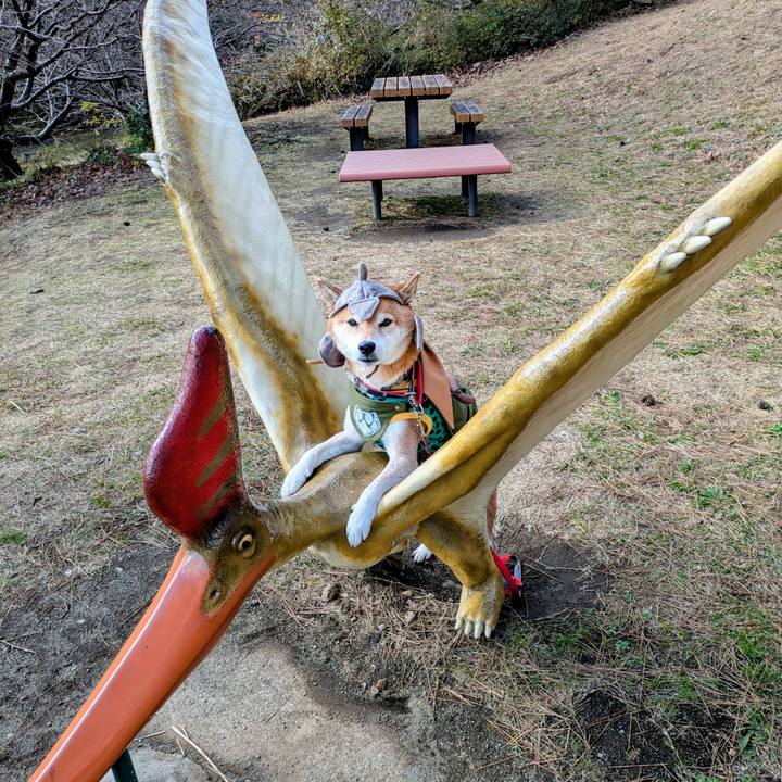 368e884c 8280 4979 9c1f f37f55e890ed 1766119346218