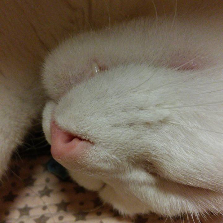 368eb045 9077 4fb7 a04b 707ed36e13b1 1526478556318