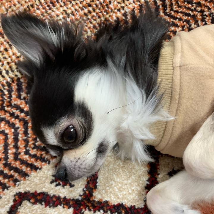 368f1fd3 5101 494c 8a9e 9b208fe6a1b1 1673709506750