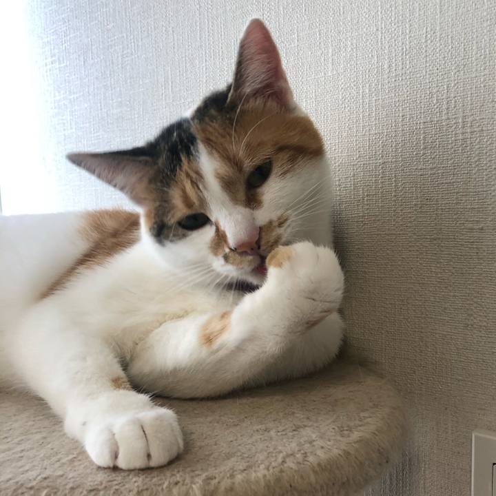 368f2e15 f85d 4812 8f7d 9e238132cdf3 1602545736223