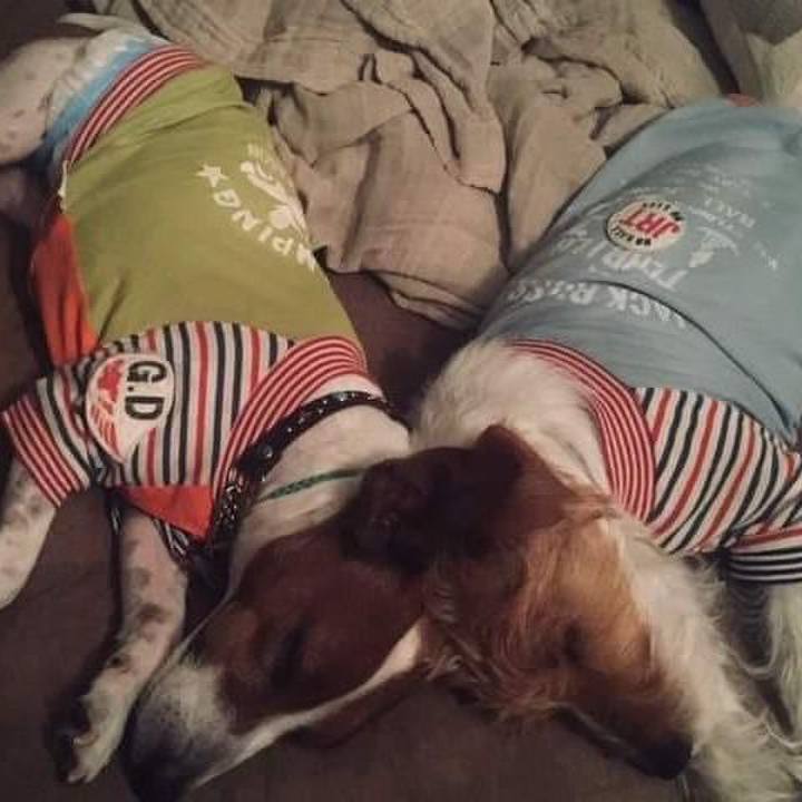 368f4b5f 037d 4b64 bdd3 a350371a13b4 1663228345999