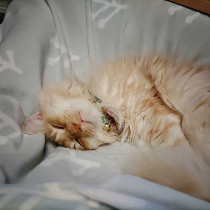 368f6ca7 c15f 4014 befb 4127e44ecf95 1705490638009