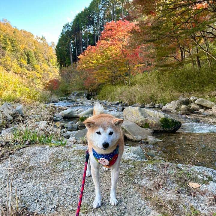 368f6df5 8e7f 4c54 a165 9f1ff0a49a7d 1731920158773