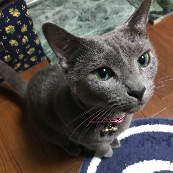 368f7311 8843 40d4 9ce0 3772c86de253 1536206368593