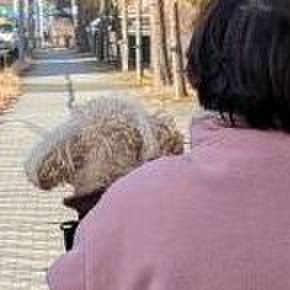 368f826a aa3f 410f 9d1a d84ef02770f5 1740119021619