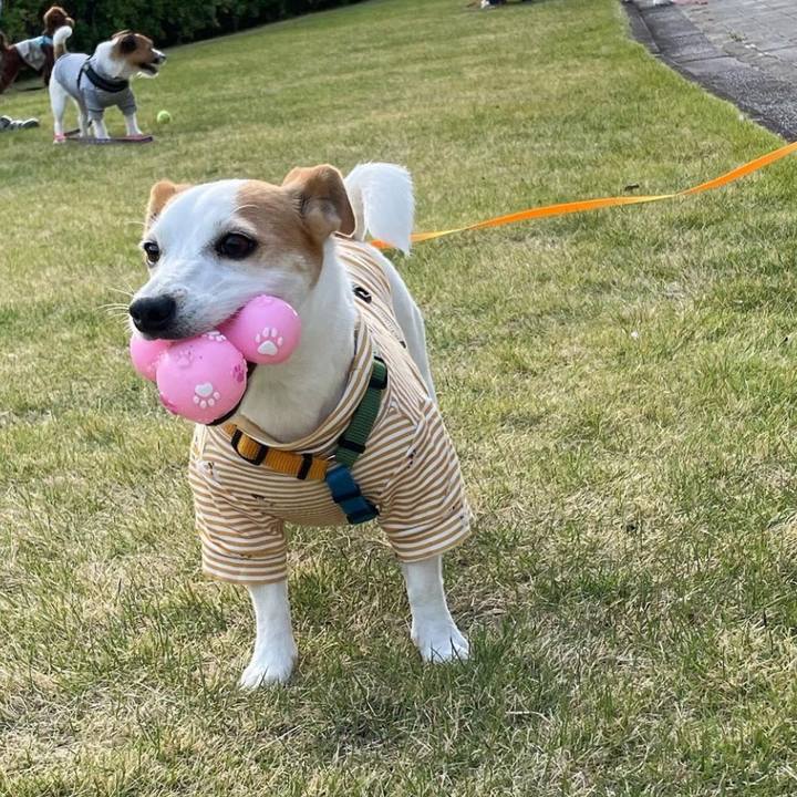 368f9fd6 d1ec 49a6 a0fe a183c49b002a 1649846073141