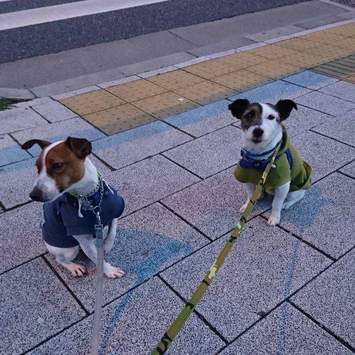 368fc36b 94cf 465d 90a0 db1f05457566 1552078202278