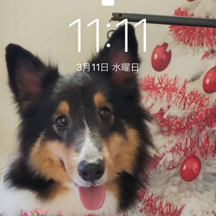 368fea34 9413 495f b0ec c099d2d470c9 1583892788689