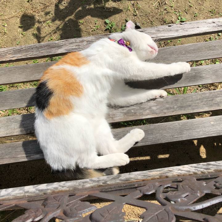 369033de 513d 4802 844f 0209630b73b8 1634897034216