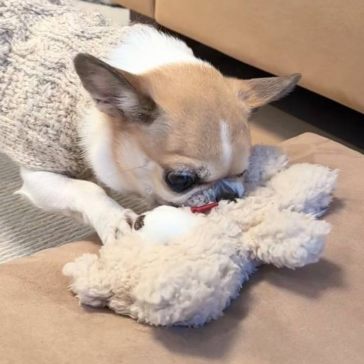 36903c9f 5c89 476d b808 e598bba6130d 1736420351097