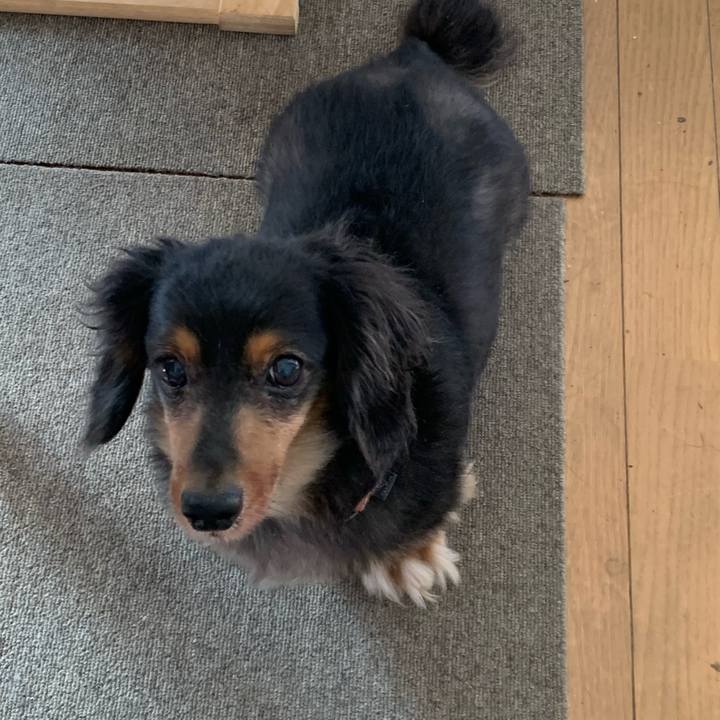 369044c2 ef26 47e0 af21 ba6e94532ac0 1597961258336