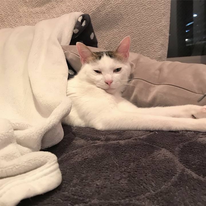 36904703 1aa0 4571 a6a6 e0963637f8db 1512316634195