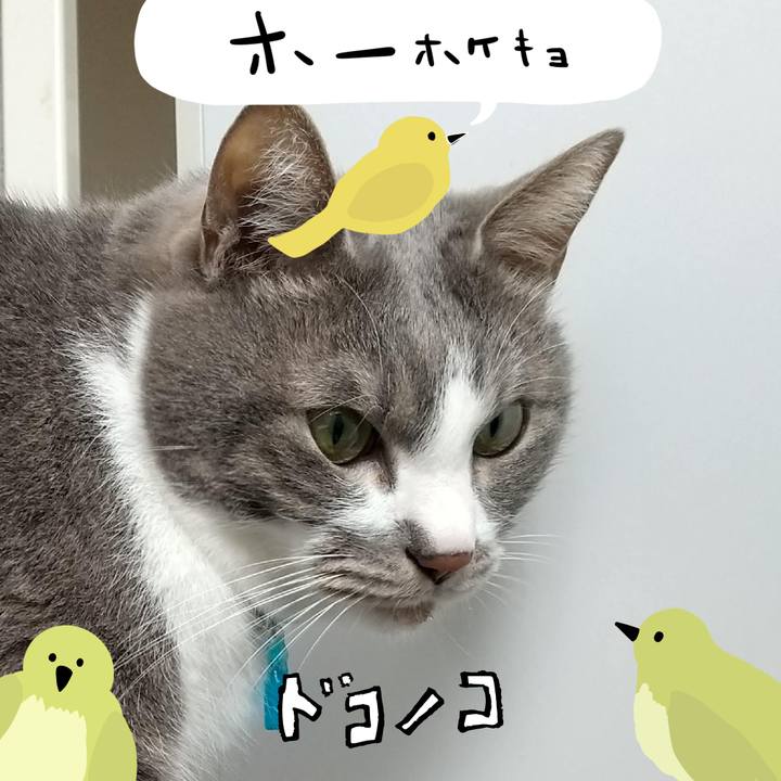 36905c48 bef6 49b0 aeea 1d771701d667 1711250533107