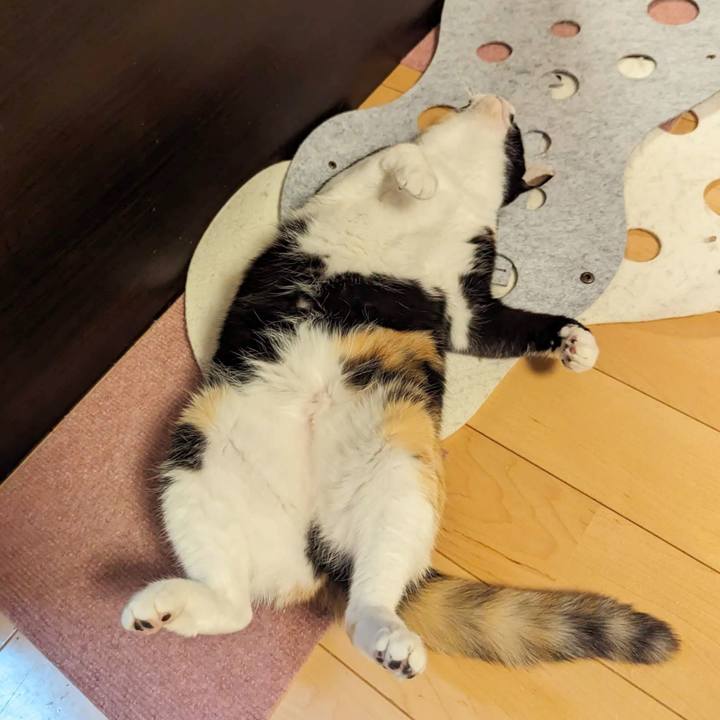 36909091 5dcc 42ca b3c1 4d7b50b04487 1701316153800