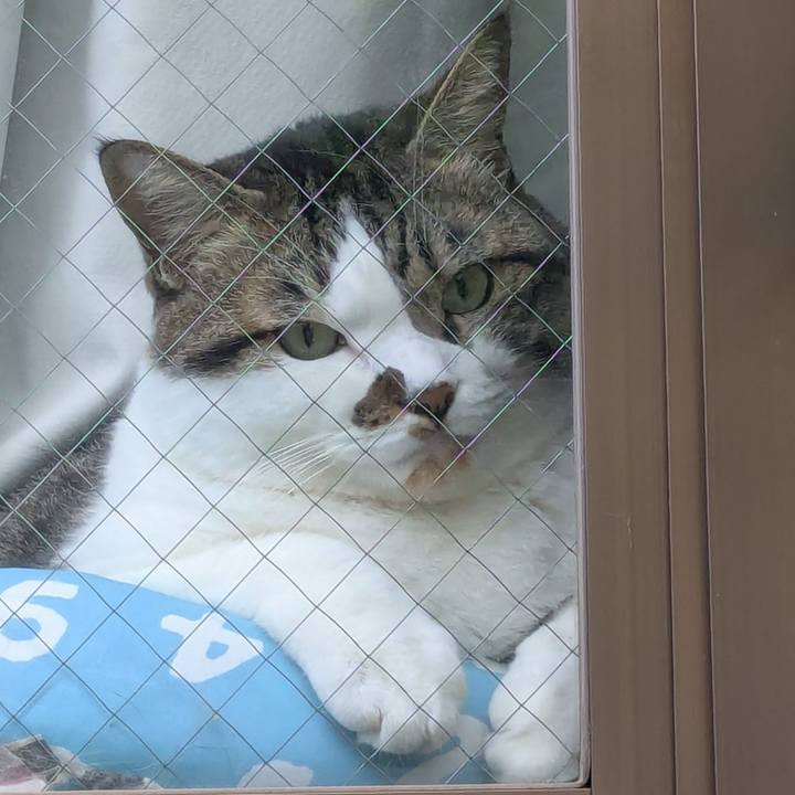 36909c84 6387 4972 a01d 10898f3d14ff 1755037480206