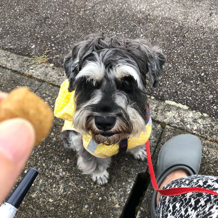 3690cc3a 7f29 41b5 97e8 0175d11dde28 1628457998031