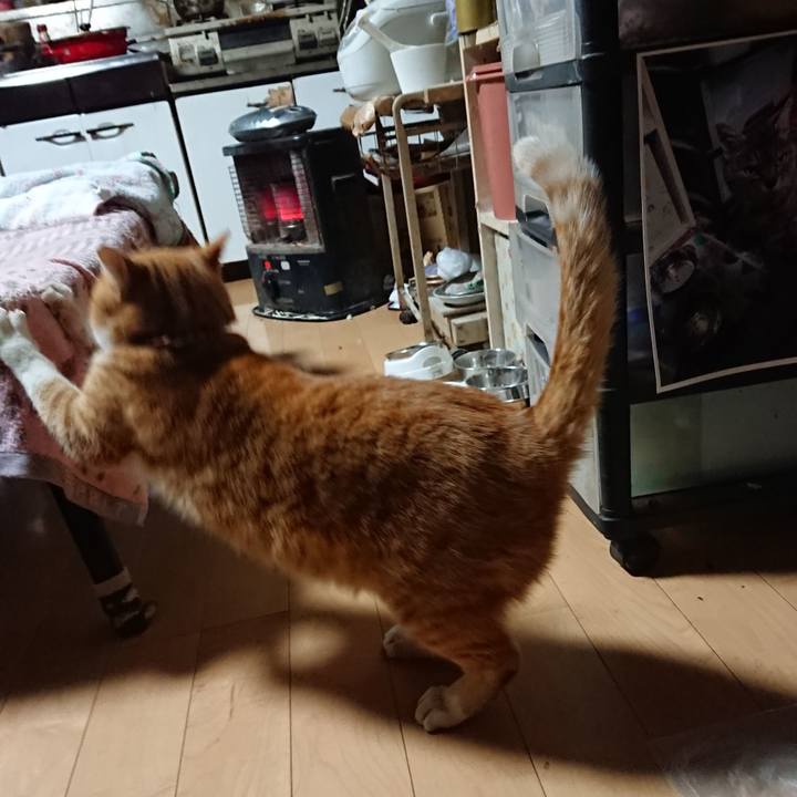 3690f325 48ba 4906 bd7b 37f734ab5e45 1606506407601