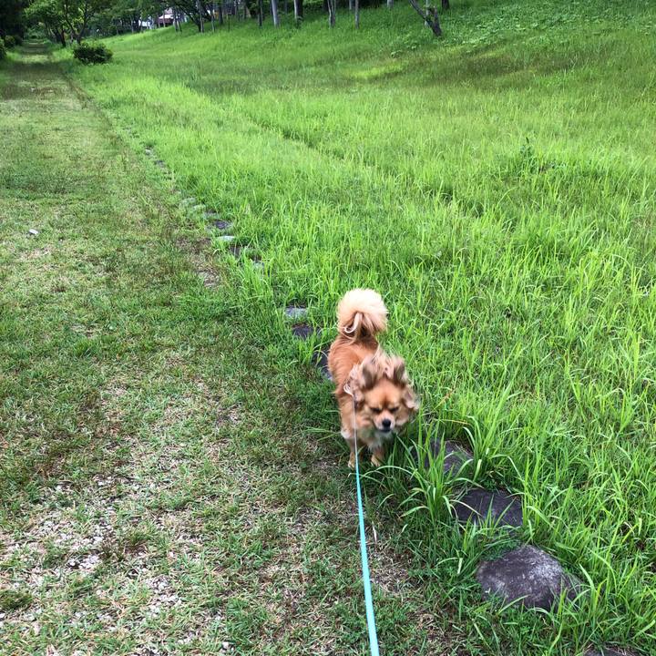 3690fc29 1007 48c4 890e 9f80f9ea99cd 1561588263040