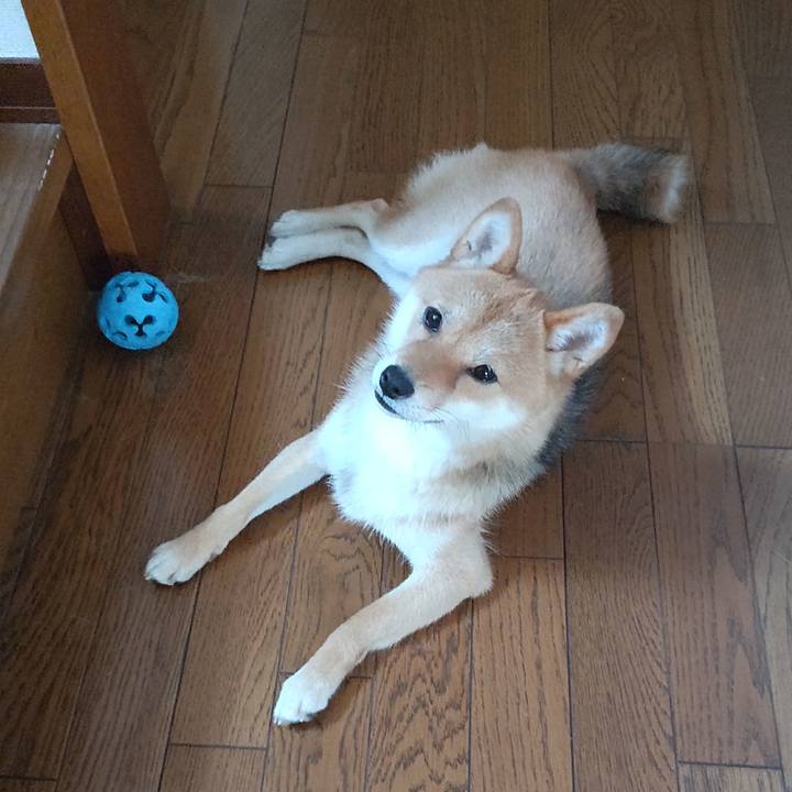 369122a0 22d5 44aa 9936 797385a2fc8d 1625297456853