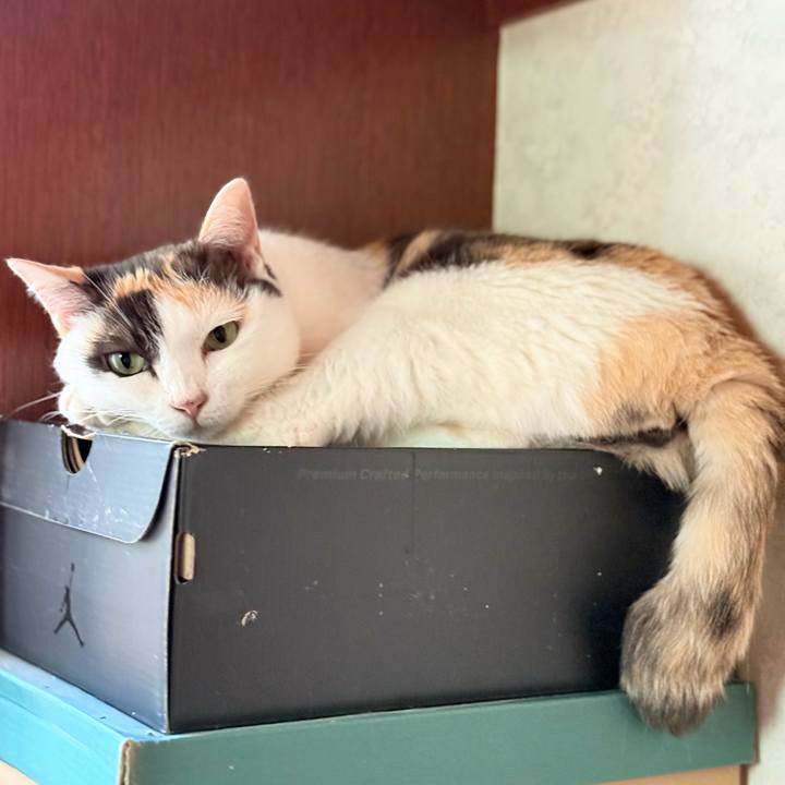 36912e82 3937 4caf aa66 b4006c3728ad 1754267805234