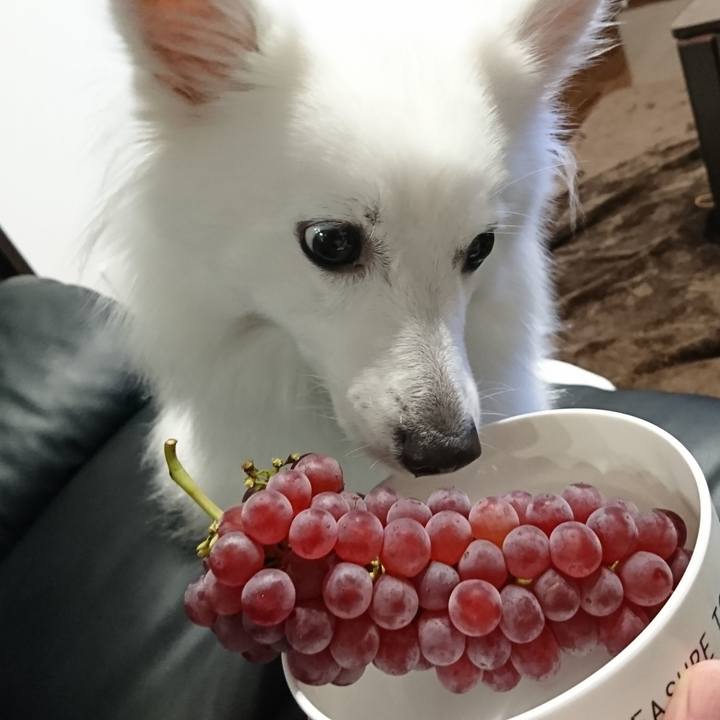 36913860 aee4 468f 98f6 5cfcc6421826 1533040435340