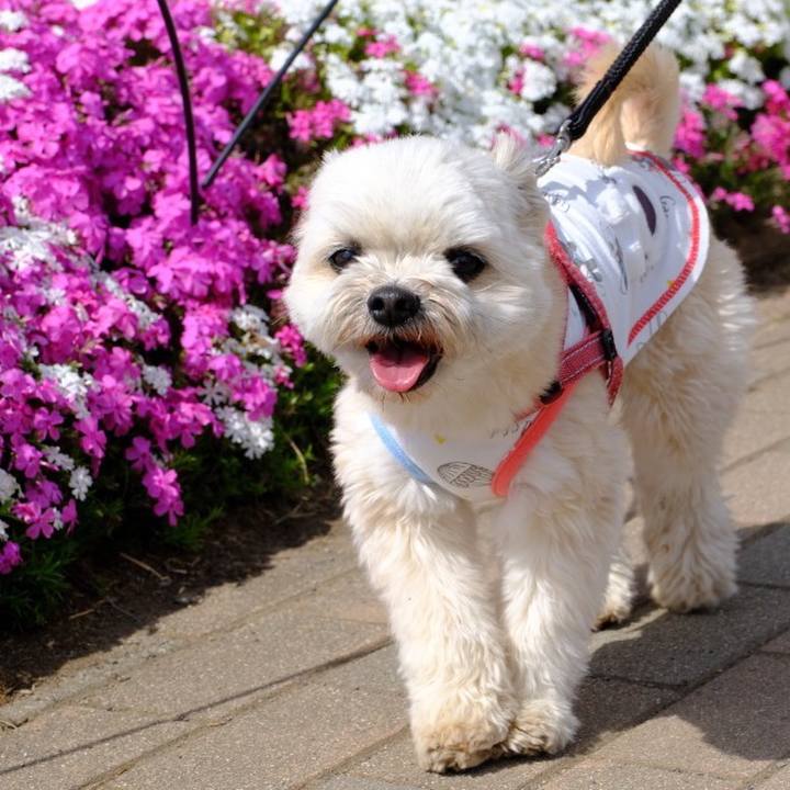 36915e9f 5ba8 4f4a b92c 5c8996b4f7d2 1681391014923