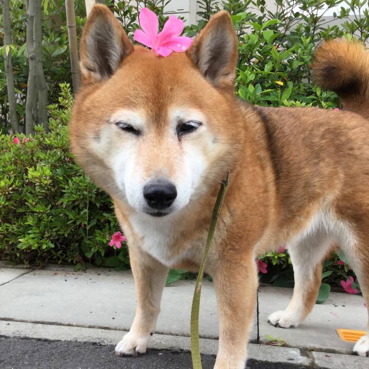 36917bbc affc 4f8e 9ad3 f9e6cb54eaff 1621482664545