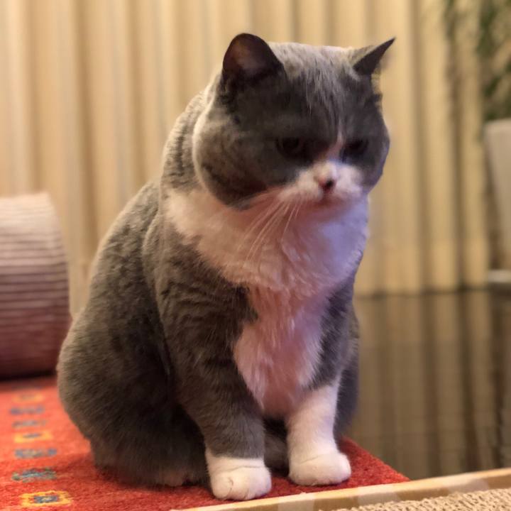 369196d9 3e95 418d a3dd 9e1cd9641316 1515709910898