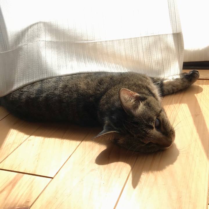 3691a6d9 7746 486c aa59 666fde1d23e7 1602042826775