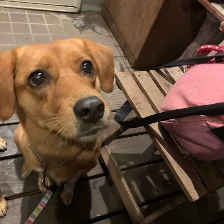 3691e548 7de7 456f af89 e272a16b1c42 1571483917468