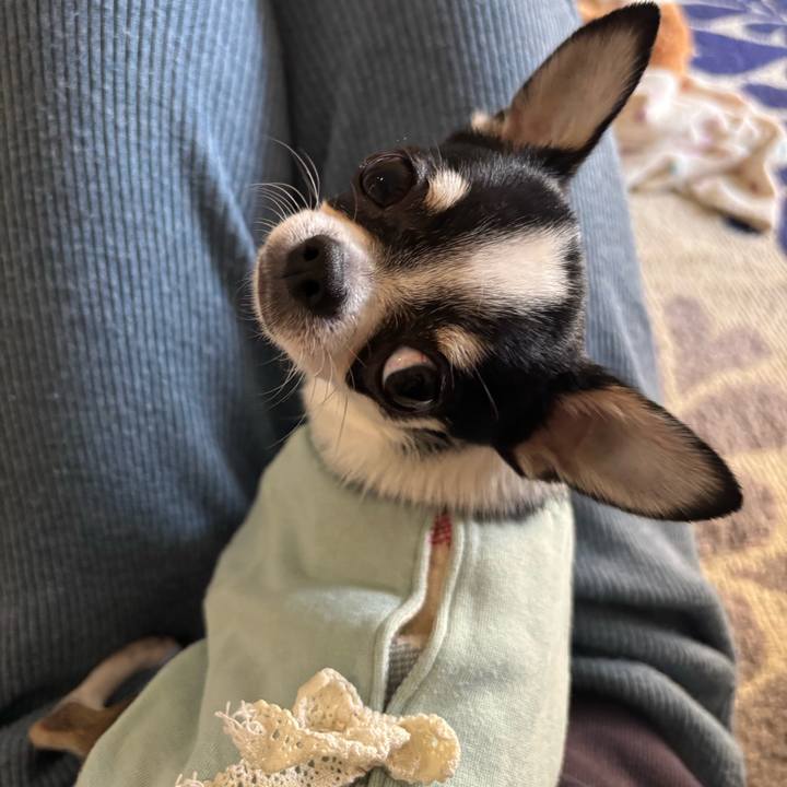 3691ecf5 b291 474a bc67 82f536d3535b 1764376157480