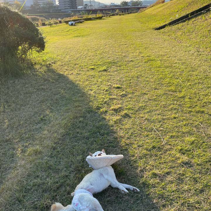 3691edde 3c9a 40ee ad97 856904833871 1667976643349