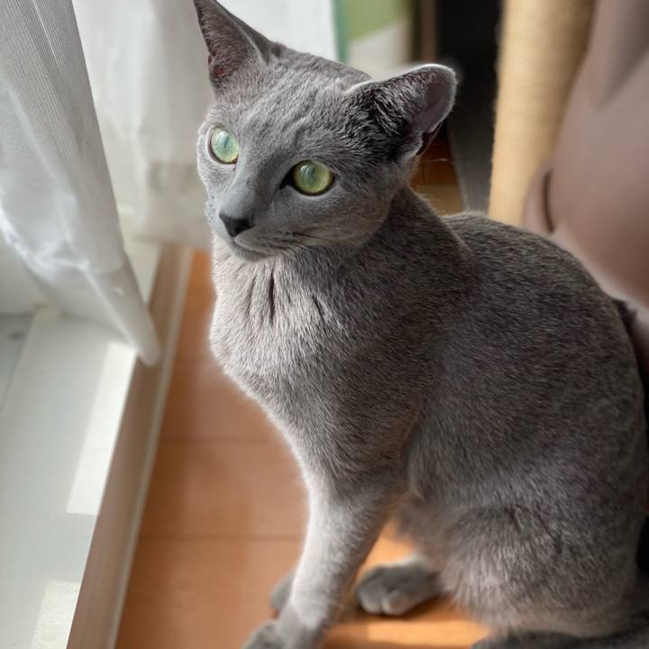 36921c5e 3da9 495f 8051 56c609c32221 1613272672560