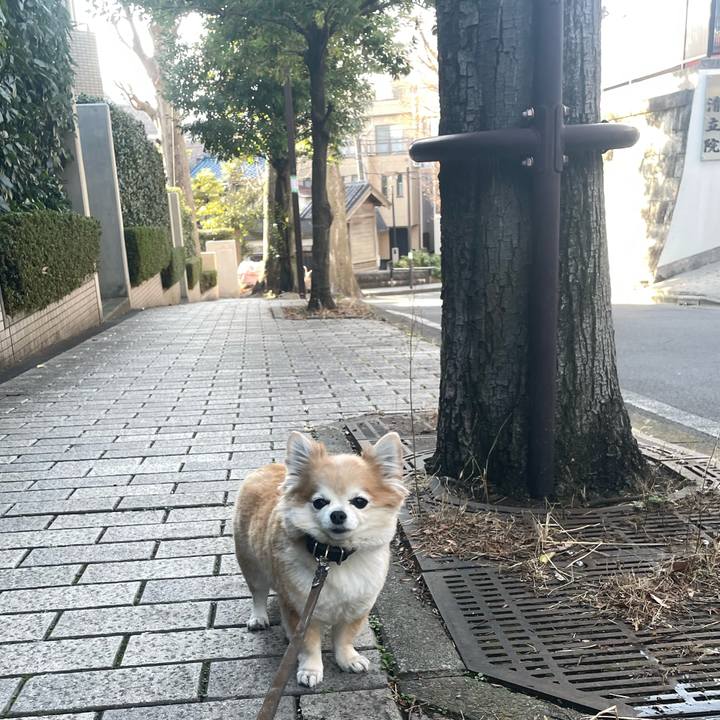 36922ea5 c2a7 41c7 8364 e02db181c407 1772340755680